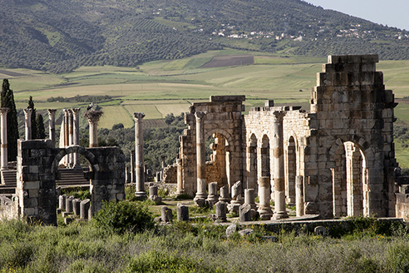 Excursión de un día completo desde Fez a Meknes y Volubilis