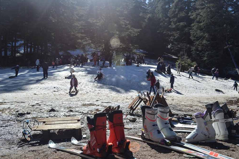 Excursión de un día completo desde Fez al Atlas Medio